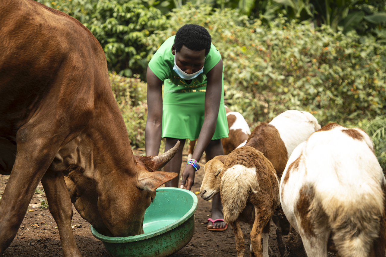 Resilience And Livelihoods Uganda World Vision International